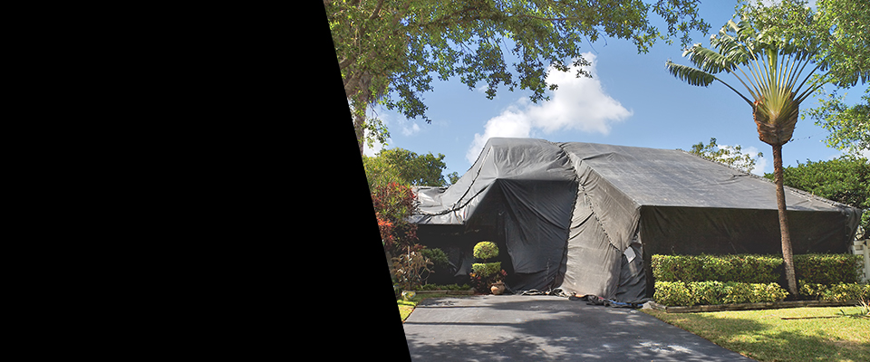 24/7 and Emergency Pest Control